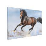 Tablou Canvas Bay Horse in Snow