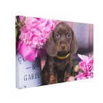 Tablou Canvas Dachshund Puppy