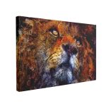 Tablou Canvas Lion Sauvage