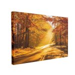 Tablou Canvas Autumn Road to Forest